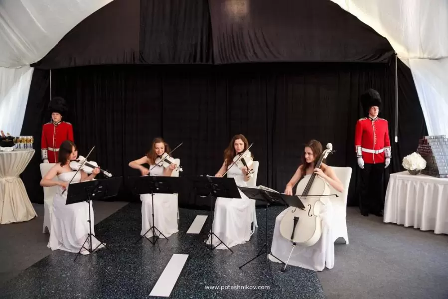 Гвардейцы — изображение 3