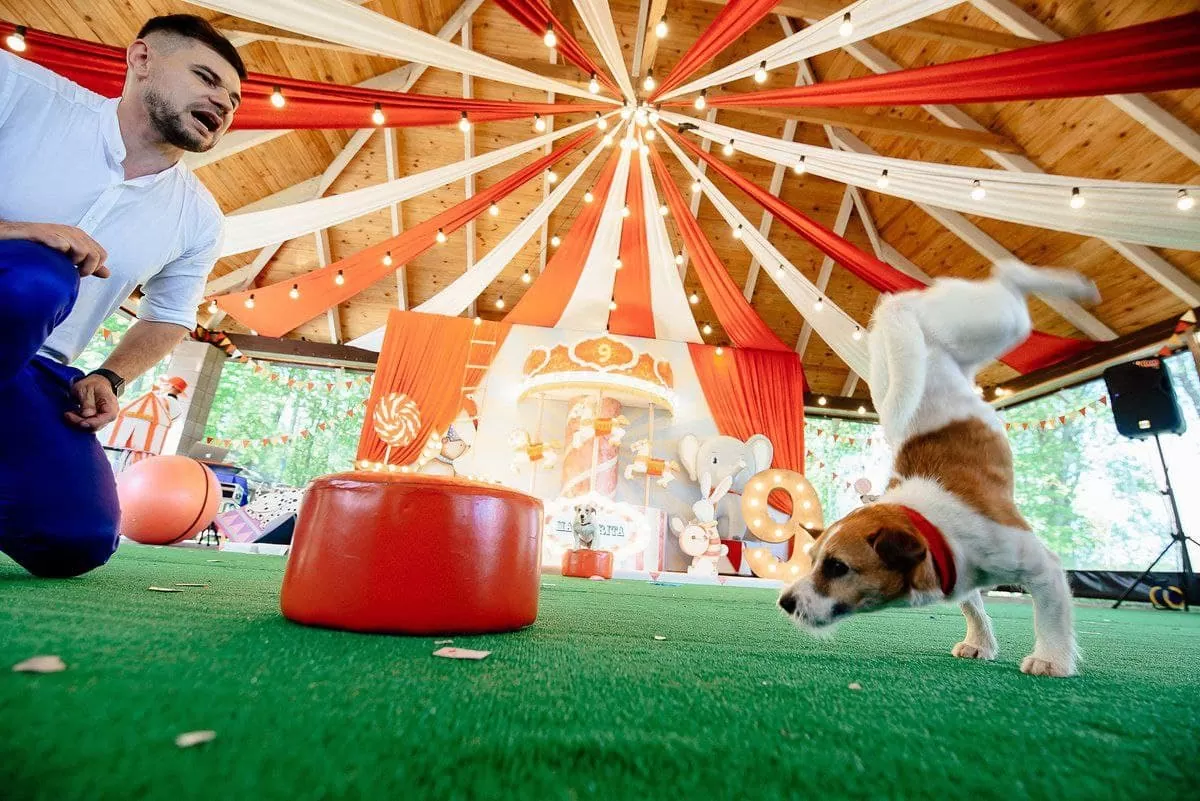 шоу Детский праздник на день рождения Цирк