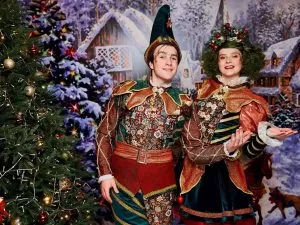 Аниматоры Эльфы (новогодние)